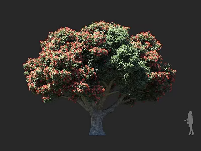 Tall Tree With Red And Green Leaves Lush Canopy Thick Trunk And Human Figure 3d model
