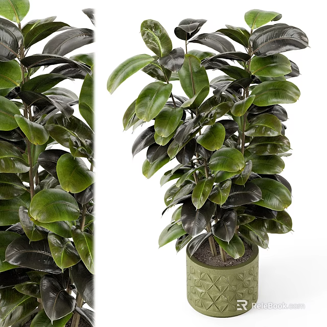 Shiny Dark Green Leaves Garden Decor Piece With Lush Potted Plant In Ceramic Pot 3d model 