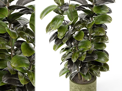 Shiny Dark Green Leaves Garden Decor Piece With Lush Potted Plant In Ceramic Pot 3d model
