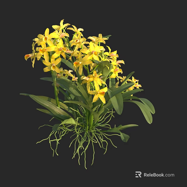 Vibrant Blooming Yellow Orchids with Lush Green Leaves and Exposed Roots 3d model 