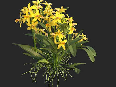 Vibrant Blooming Yellow Orchids with Lush Green Leaves and Exposed Roots 3d model