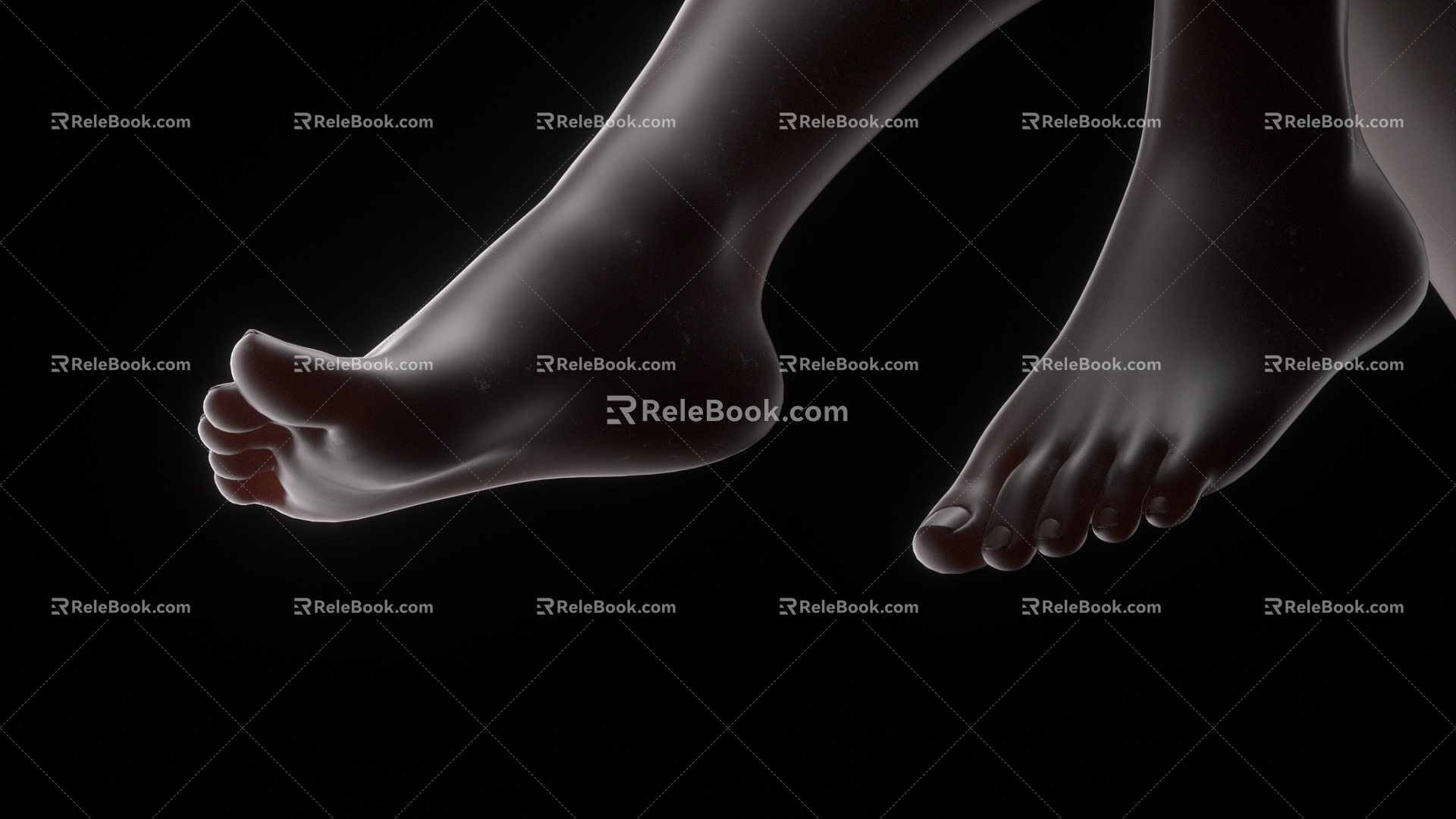 foot thigh 3d model