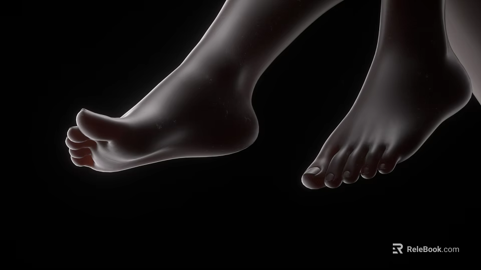 Elegant Woman's Feet With Smooth Skin And Detailed Toes On Black Background 3d model 