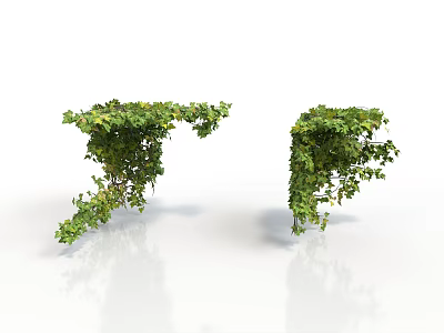 Decorative Green Vines With Lush Foliage For Interior Design On White Background 3d model