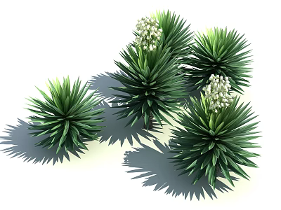 Lush Green Shrub With Spiky Leaves And White Flowers In Cluster 3d model