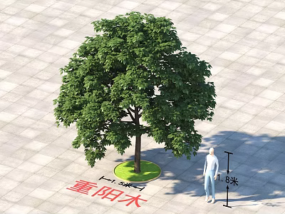 Chongyang Arbor 18 Meters Tall With Circular Lawn On Paved Ground And Person For Scale 3d model