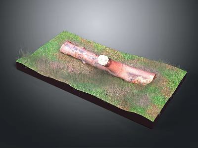 Wooden Log With Stone Accent Placed On Grass Covered Display Base 3d model