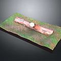 Wooden Log With Stone Accent Placed On Grass Covered Display Base