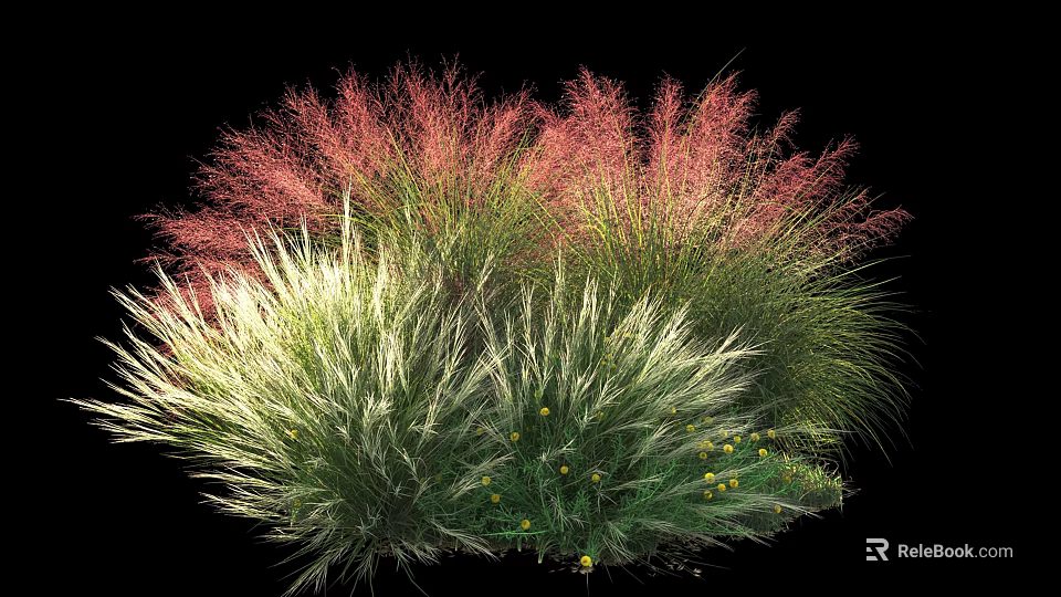 Ornamental Garden Shrubs With Pink Green Foliage Feathery Texture And Small Yellow Flowers 3d model 