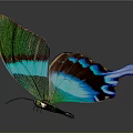 Vibrant Butterfly With Green And Blue Iridescent Wings And Reflection On Dark Background