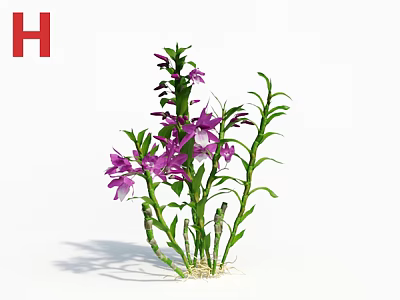 Vibrant Purple Flowers With Green Stems And Lush Leaves Growing 3d model