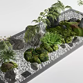 Karesansui Japanese Rock Garden with Stones Gravel Moss and Fern Plants