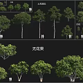 Various Arbor Species Including Root Ball Trees Osmanthus And Fig Tree Varieties 3d model