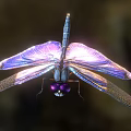 Vibrant Dragonfly With Iridescent Purple Blue Wings And Shiny Blue Body Flying Against Dark Background