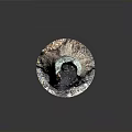 Tree Stump With Natural Weathered Wooden Texture On Smooth Black Surface