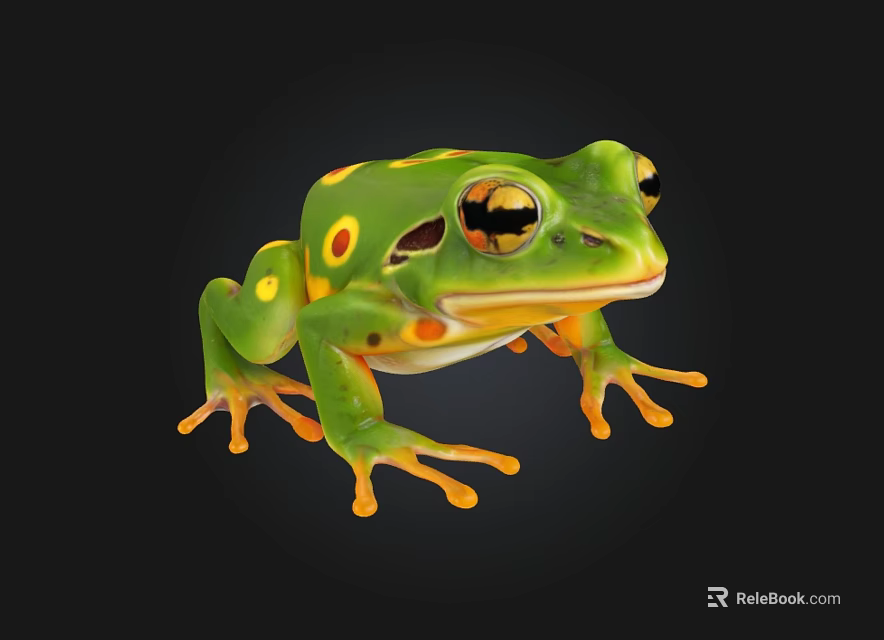 Vibrant Green Aquatic Frog With Yellow Spots And Large Eyes On Black Background 3d model 