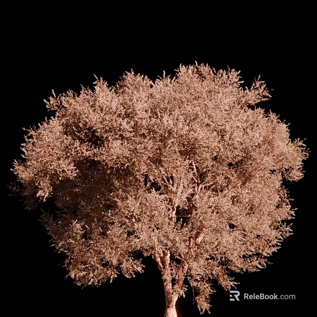 Detailed Brown Tree With Dense Foliage Against Black Background 3D Render 3d model 