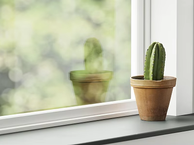 Dining Living Room Window Sill With Terracotta Pot Cactus And Green Outdoor View Interior 3d model