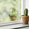 Dining Living Room Window Sill With Terracotta Pot Cactus And Green Outdoor View Interior
