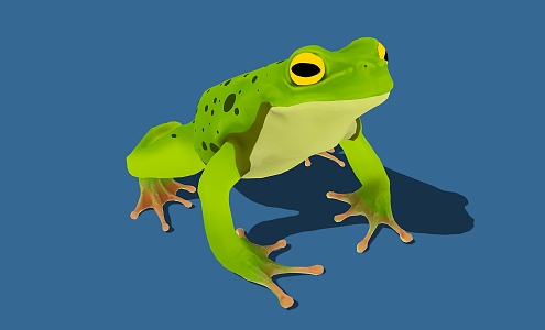 cartoon frog bullfrog cartoon animal reptile 3d model