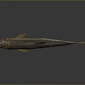 Realistic Silver Fish with Red Yellow Fins on Gray Background and Reflection