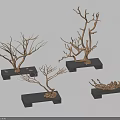 Natural Decorative Ornament Set With Twig Branches Black Bases And Small Stones