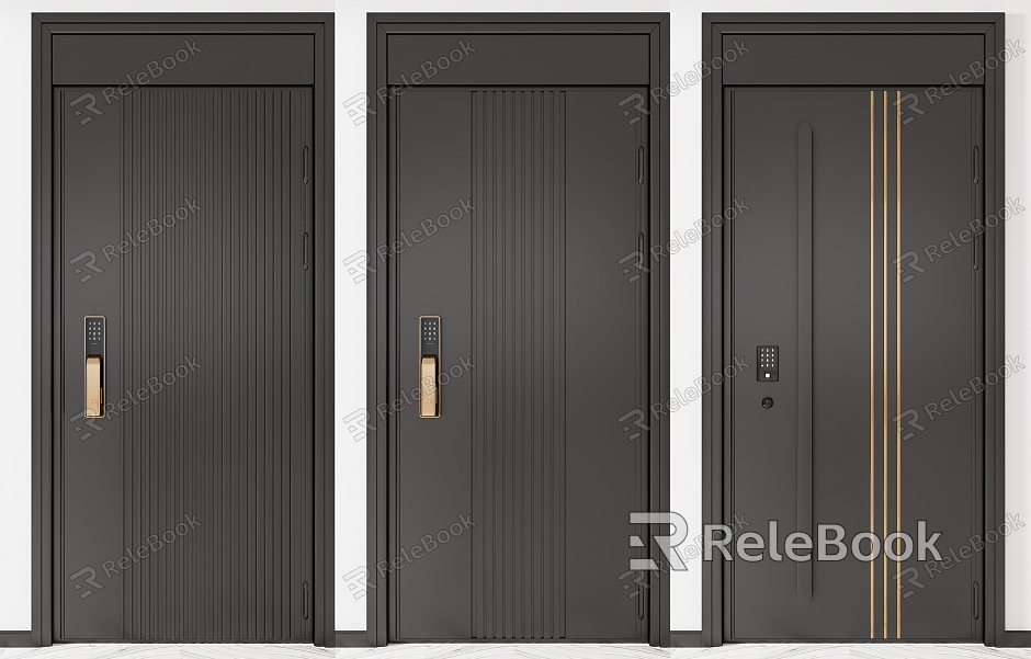 Modern Password Door Entry Door model