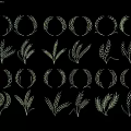 Decorative Wheat Ear And Circular Wreath Design Elements On Black Background 3d model