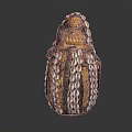 Artisanal Decorative Household Item With Brown And White Shell Decorations And Woven Texture Design