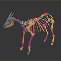 Animal Skeleton 3D Model With Anatomical Structure Orange Color And Dark Background 3d model
