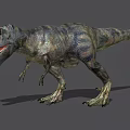 Realistic Tyrannosaurus Rex Reptile Model With Open Mouth Sharp Teeth And Detailed Skin Texture