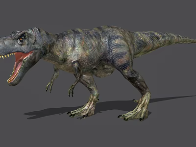 Realistic Tyrannosaurus Rex Reptile Model With Open Mouth Sharp Teeth And Detailed Skin Texture 3d model