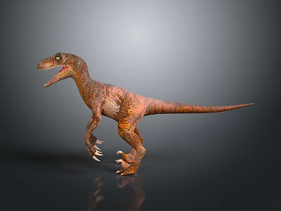 Velociraptor Dinosaur with Brown Orange Skin Open Mouth Sharp Claws on Grey Background with Reflection 3d model