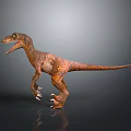 Velociraptor Dinosaur with Brown Orange Skin Open Mouth Sharp Claws on Grey Background with Reflection
