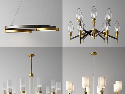 Modern Elegant Chandeliers With Metal Frame Glass Shades And Circular Design 3d model
