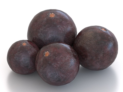 acai berry grape fruit 3d model