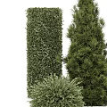 Green Plant Wall With Various Shaped Topiary Plants For Decorative Landscaping