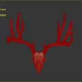 Golden Deer Skull With Large Antlers On Dark Background Showing Reflection