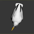 3D Rendered White Seagull Standing with Yellow Beak Yellow Feet and Black Wing Feathers
