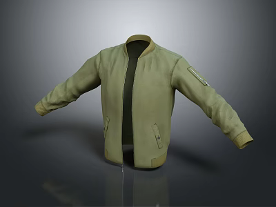 Light Green Bomber Jacket With Stand Collar Zipper And Casual Style Design 3d model
