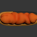Three Anatomical Organ Models With Yellow Exterior And Red Internal Hair Like Structures