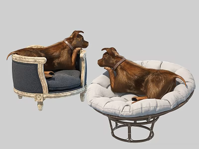 Small Brown Reptiles Resting On Blue Chair And Round White Cushion Mat 3d model