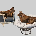 Small Brown Reptiles Resting On Blue Chair And Round White Cushion Mat