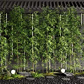 Bamboo Plants In Landscape With Dark Wall Stones Moss And Lights