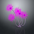 Purple Dandelion Like Plant With Multiple Flowers Curved Stems And Support Structure Against Dark Background
