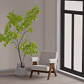 Modern Leisure Chair with Natural Light and Green Plant by Large Window