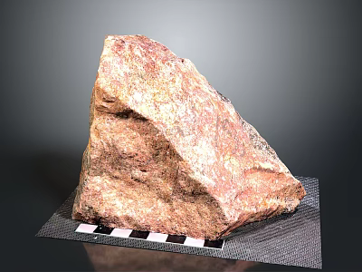 Natural Wood Stone Raw Sample with Rough Surface and Natural Texture for Decoration Projects 3d model