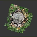 Rustic Tree Stump Surrounded by Lush Green Moss and Wild Mushrooms