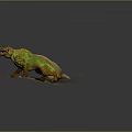 Game Movie Character With Green Orange Skin Sharp Teeth And Lily Pads In Muddy Water