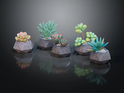 Colorful Succulent Plants In Geometric Stone Pots With Dark Background Reflections 3d model